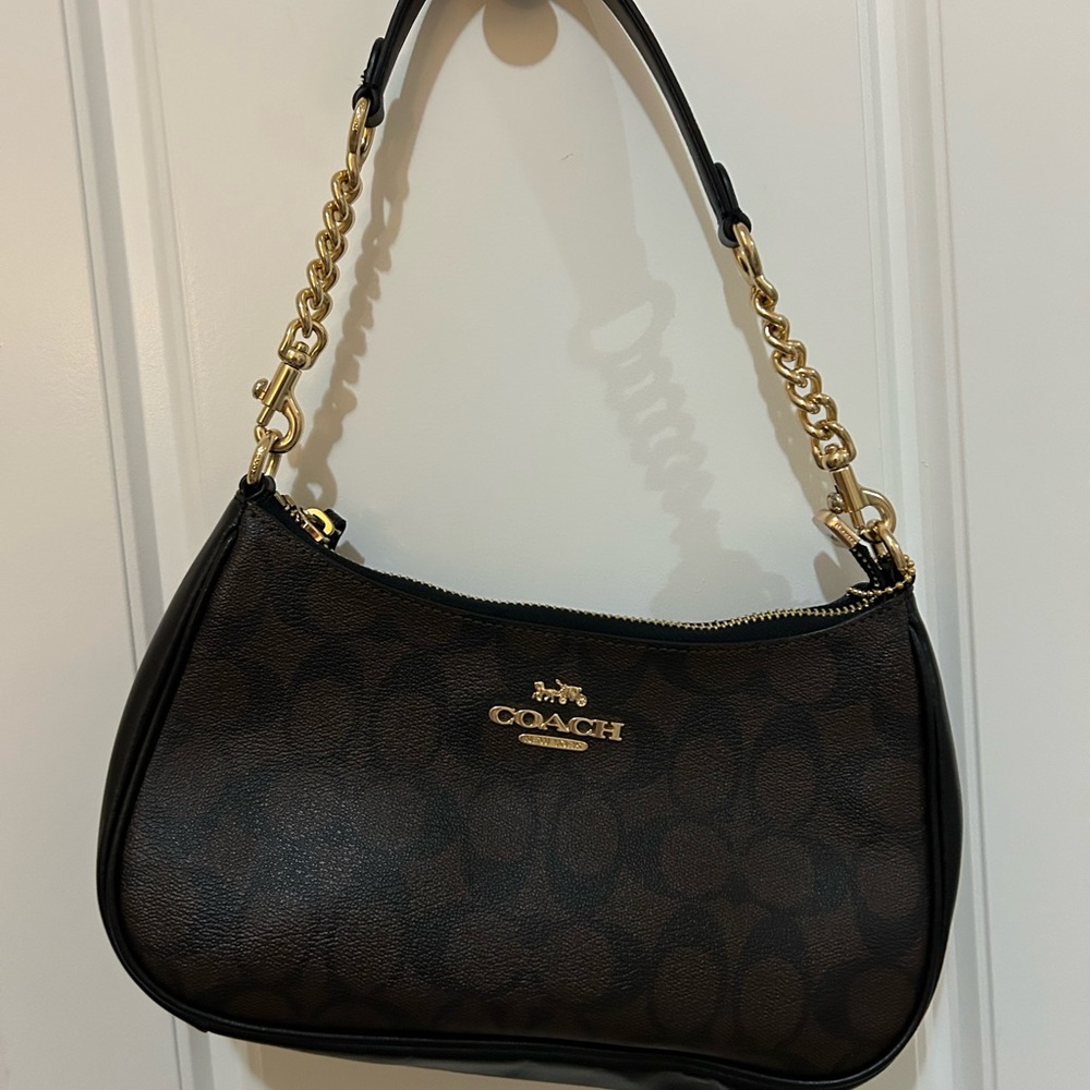 Coach Teri Mini Crossbody Bag Signature Canvas